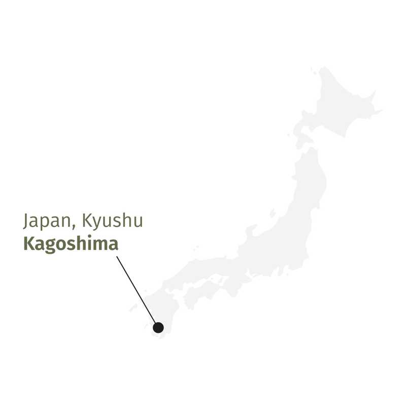 Premium Sencha Konomi luomu vihreä tee